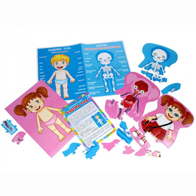 Пазлы - Пазлы Ranok Строение тела (13164012У)#5
