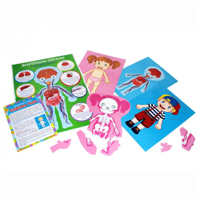 Пазлы - Пазлы Ranok Строение тела (13164012У)#6