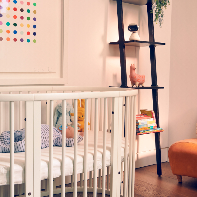 Товары по уходу - Видеоняня Motorola PIP1500 Connect (5055374714096)#4