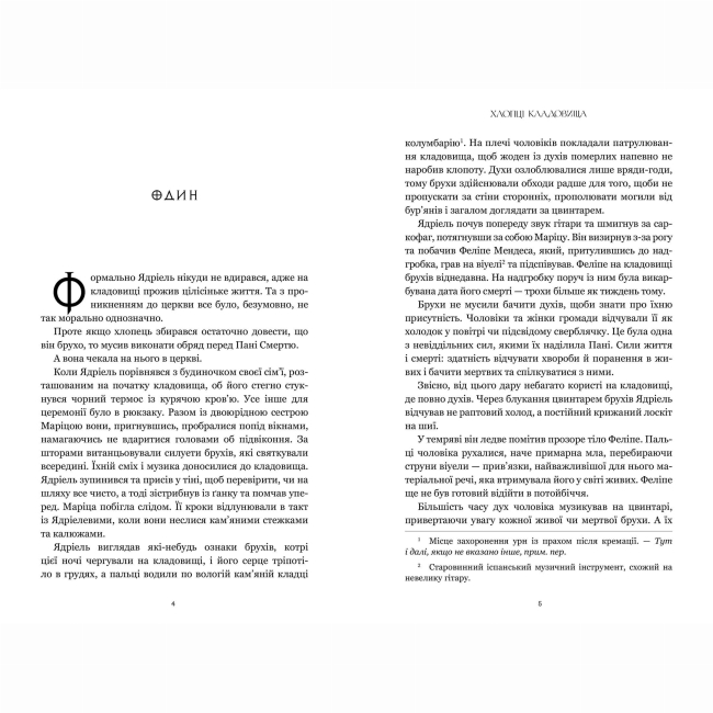 Подростковая литература (14+ лет) - Книжка «Хлопці кладовища» Ейден Томас (9786175233061)#2