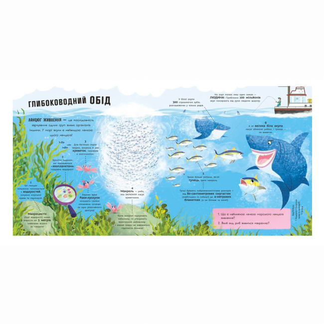 Пізнавальні книги (4-10 років) - ​Книжка «Акули люблять науку» Фрост Адам (9786170993458)#4