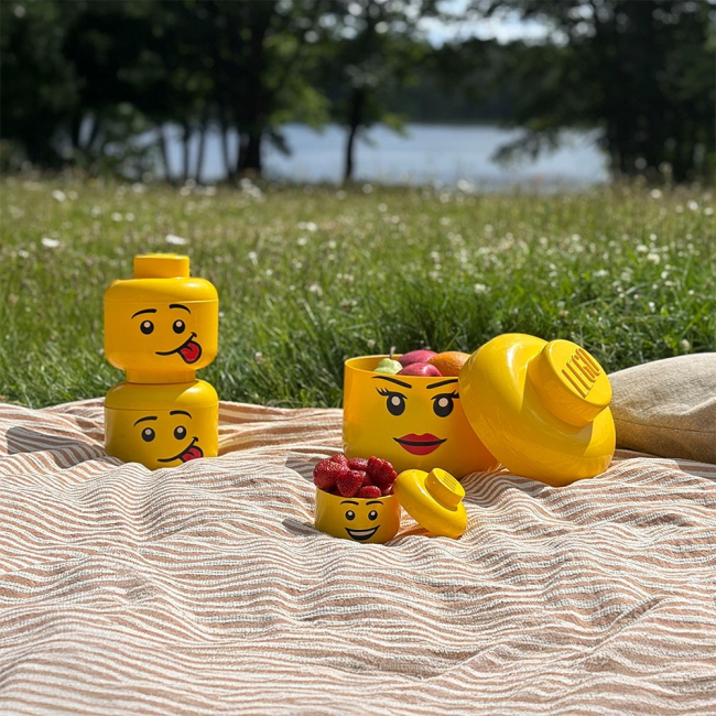 Боксы для игрушек - Набор боксов-голов LEGO Lifestyle Mini 4 шт (43330801)#3