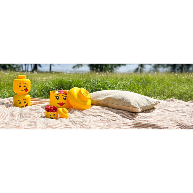 Боксы для игрушек - Набор боксов-голов LEGO Lifestyle Mini 4 шт (43330801)#4