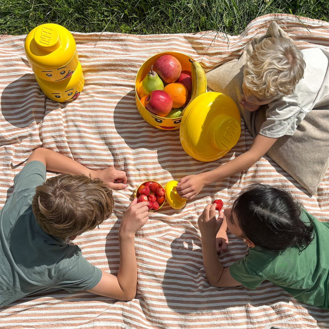 Боксы для игрушек - ​Набор боксов-голов LEGO Lifestyle Mini 4 шт (43330801)#5