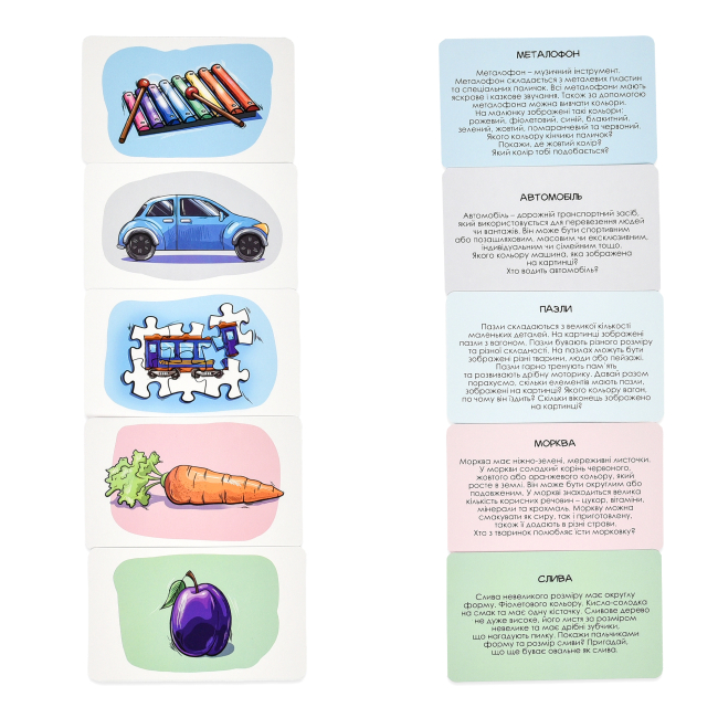 Настольные игры - Настольная игра Strateg Умный чемодан Мир вокруг (30984)#5