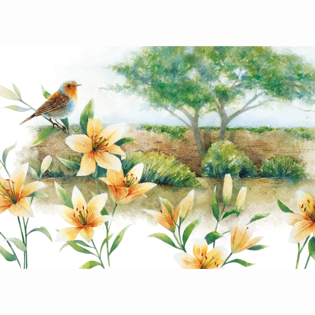 Классика детской литературы - ​Книжка «Таємний сад» Френсіс Бернет (9786178383244)#5