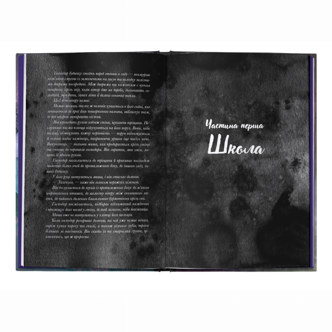 Подростковая литература (14+ лет) - ​Книжка «Галант» Вікторія Елізабет Шваб (9786178383220)#2