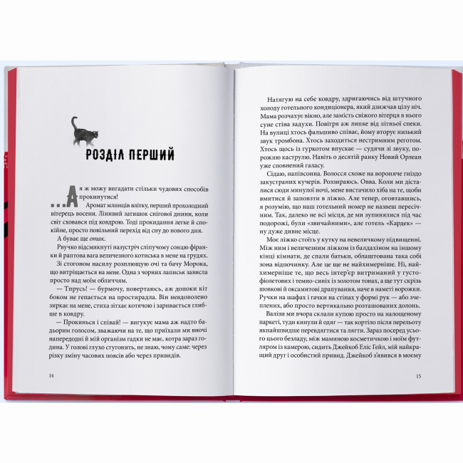 Подростковая литература (14+ лет) - Книжка «Міст душ» Вікторія Елізабет Шваб (9786178383961)#2
