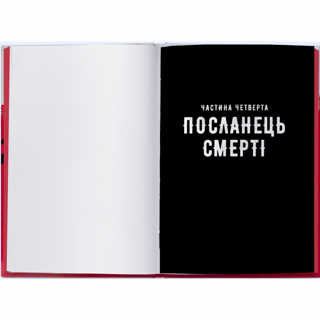 Подростковая литература (14+ лет) - Книжка «Міст душ» Вікторія Елізабет Шваб (9786178383961)#3