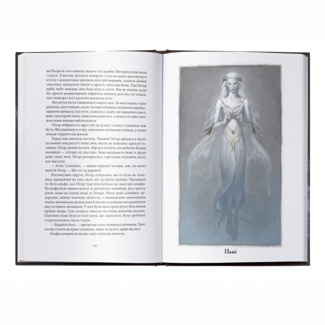 Книги для взрослых - Книжка «Викрадач дітей» Бром (9786178383893)#3