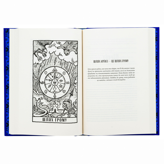 Підліткова література (14+ років) - Книжка «Чорна тінь» Себастьян де Кастелл (9786178383152)#3