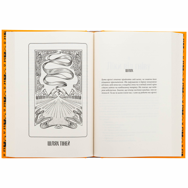 Підліткова література (14+ років) - Книжка «Шлях тіней» Себастьян де Кастелл (9786178383626)#3