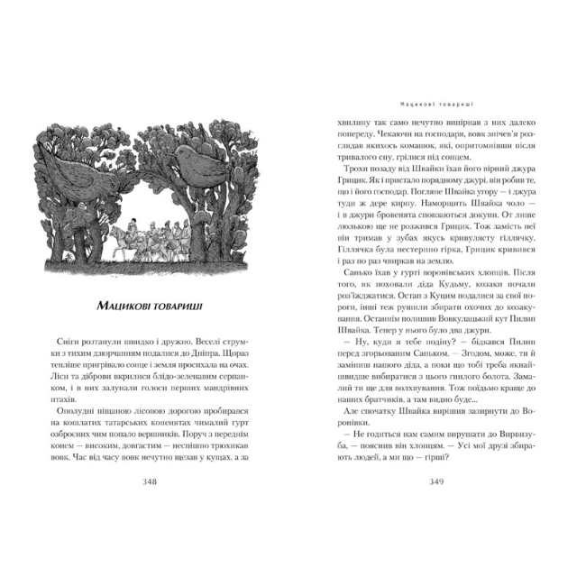 Класика дитячої літератури - Книжка «Джури козака Швайки» Володимир Рутківський (9789667047986)#5