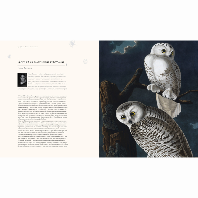 Комиксы, манга и книги о героях (7+ лет) - ​Книжка «Гаррі Поттер: Історія магії. Велике ілюстроване видання» Джоан Ролінґ (9786175851685)#2