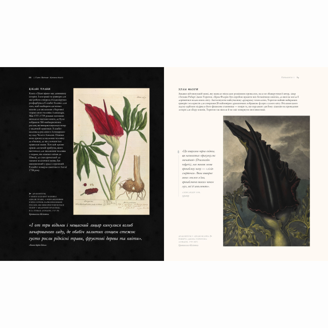 Комиксы, манга и книги о героях (7+ лет) - ​Книжка «Гаррі Поттер: Історія магії. Велике ілюстроване видання» Джоан Ролінґ (9786175851685)#4