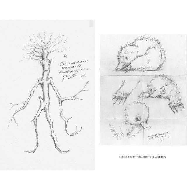 Художня література для дітей (7-13 років) - ​Книжка «Фантастичні звірі: Таємниці Дамблдора. Оригінальний сценарій» Джоан Ролінґ, Стів Кловз (9786175853856)#4