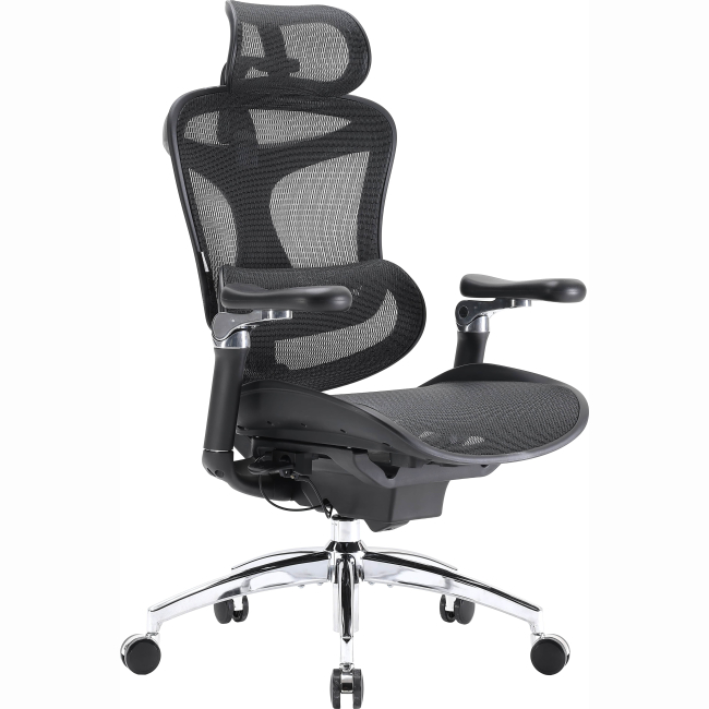 Меблі для геймерів - Крісло офісне Sihoo DORO C300 Pro Mesh Black (DORO- C300- PRO- M101)#2