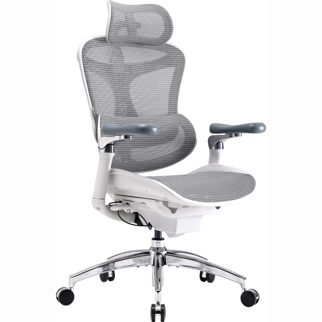 Меблі для геймерів - Крісло офісне Sihoo DORO C300 Pro Mesh White (DORO- C300- PRO- M102)#2