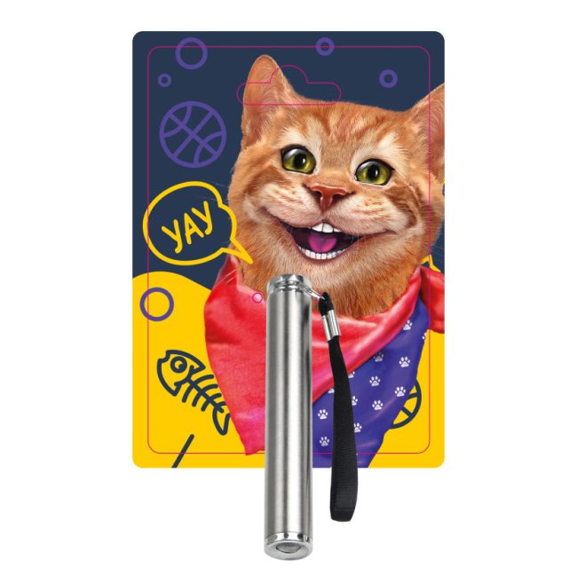 Игрушки для котов - Лазерная указка-фонарик для кошек Friend is (FG221228007G)#2