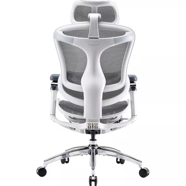 Мебель для геймеров - Офисное кресло Sihoo DORO C300 Pro Mesh White (DORO-C300-PRO-M102)#2