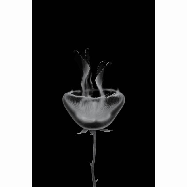 Книги для дорослих - Книжка «Rouge» Мона Авад (9786178287986)#2