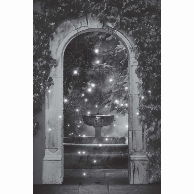 Книги для дорослих - Книжка «Зачарована асьєнда» Дж. С. Сервантес (9786178287603)#2