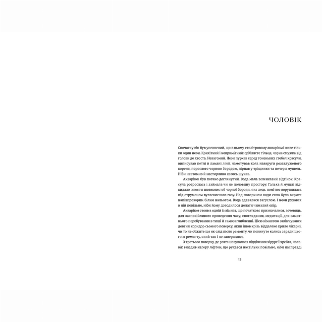 Книги для взрослых - Книжка «Амадока» Андрухович Софія (9786176796299)#4