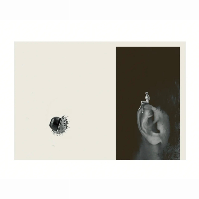 Книги для дорослих - Книжка «Лексикон таємних знань» Тарас Прохасько (9789664481653)#3