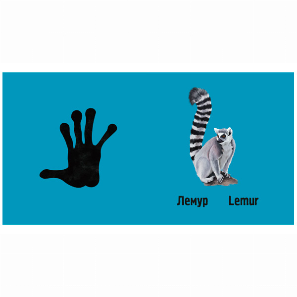 Книги для самых маленьких (0-3 года) - Книжка «Слідами тварин. У джунглях» Ірина Ткачук (9786177329922)#4