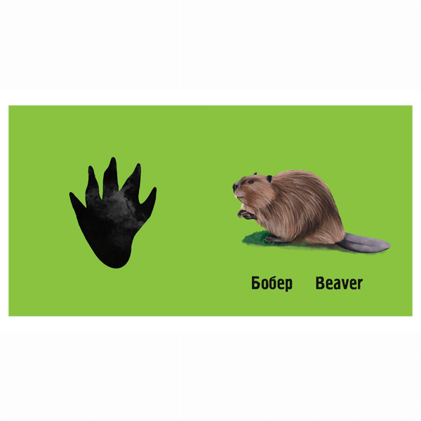 Книги для найменших (0-3 років) - Книжка «Слідами тварин. У лісі» Ірина Ткачук (9786177329908)#4