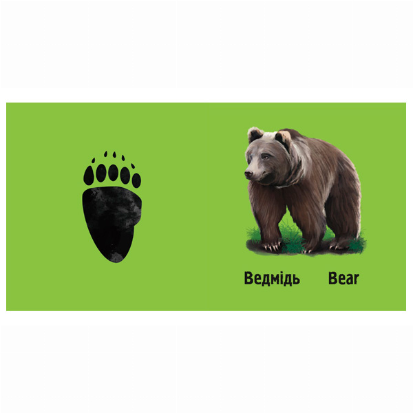 Книги для найменших (0-3 років) - Книжка «Слідами тварин. У лісі» Ірина Ткачук (9786177329908)#6