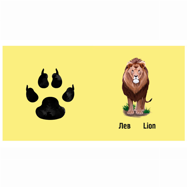 Книги для найменших (0-3 років) - Книжка «Слідами тварин. У савані» Ірина Ткачук (9786177329915)#5