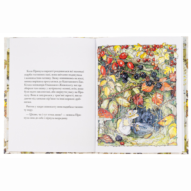 Книги-картинки для дітей (2-6 років) - Книжка «Ожиновий живопліт. Осіння історія» Джилл Барклем (9786177329533)#2