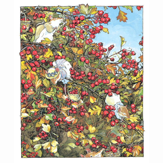 Книги-картинки для дітей (2-6 років) - Книжка «Ожиновий живопліт. Осіння історія» Джилл Барклем (9786177329533)#7