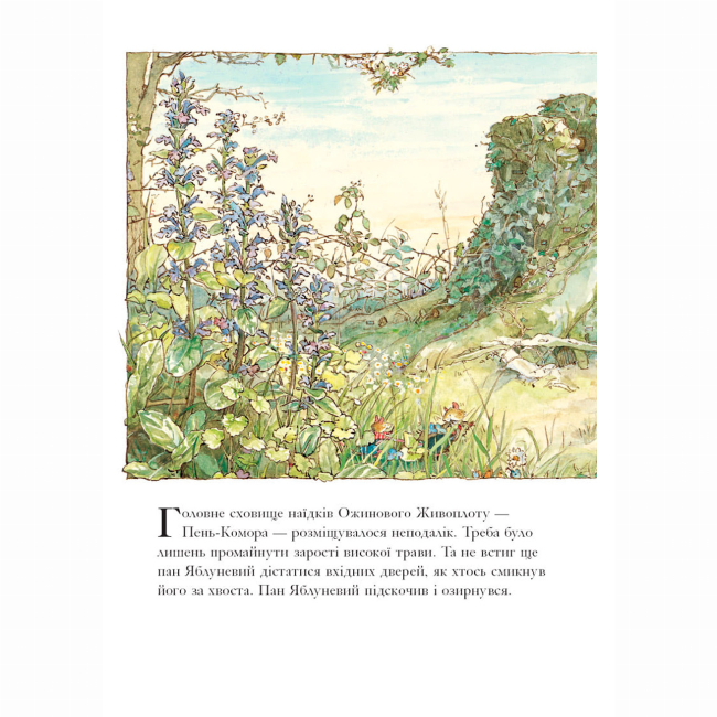 Книги-картинки для дітей (2-6 років) - Книжка «Рік в Ожиновому Живоплоті» Джилл Барклем (9786178093457)#4