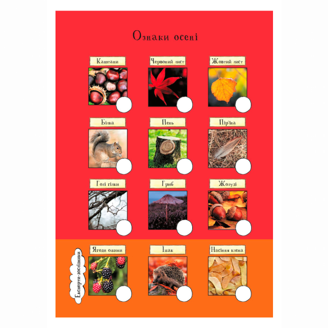 Книги-картинки для детей (2-6 лет) - Книжка «Груффало. Осінніми та зимовими стежками» Джулія Дональдсон (9786178093105)#3