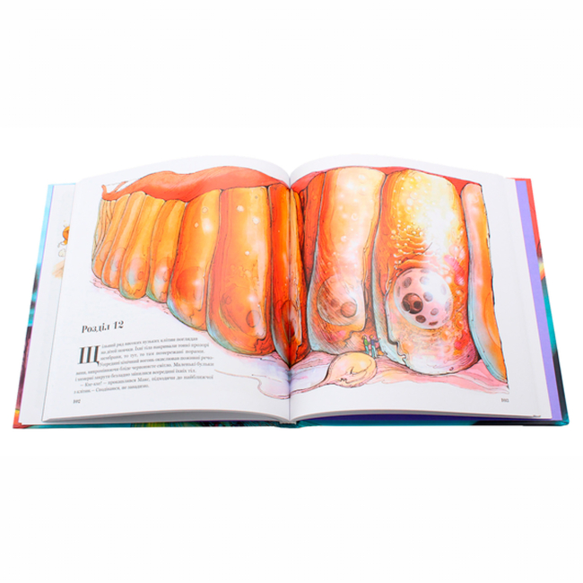 Пізнавальні книги (4-10 років) - Книжка «Магічна книга анатомії» Керол Доннер (9786177329441)#3