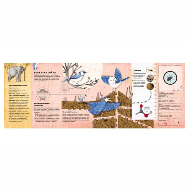 Пізнавальні книги (4-10 років) - Книжка «Архітектори у світі тварин» Даніель Нассар (9786177329083)#3