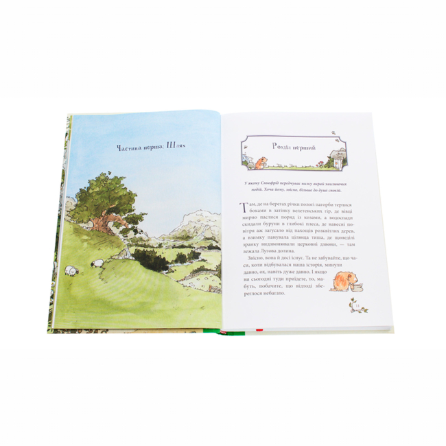 Художественная литература для детей (7-13 лет) - Книжка «Сньофрід із Лугової долини. Неймовірна історія порятунку Північляндії» Андреас Г. Шмахтль (9786177329557)#3