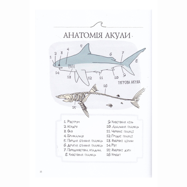 Книги для взрослых - Книжка «Анатомія океану. Неймовірні місця та частини світу, сховані під водою» (9786177329878)#5