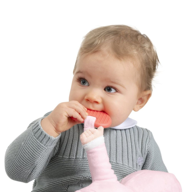 Пупсы - Кукла Chicco Моя первая кукла розовая (12117.00) (8058664176427)#4