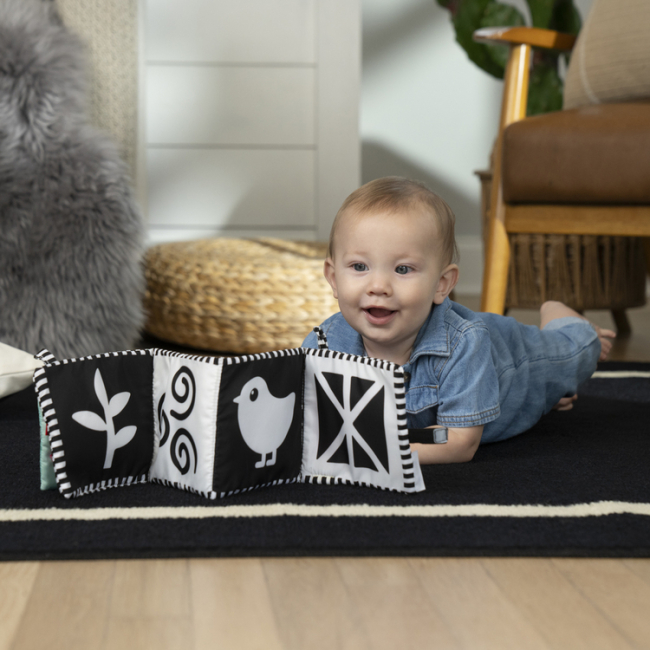 Развивающие игрушки - Развивающая игрушка Baby Einstein Counting at the Farm (17303)#5