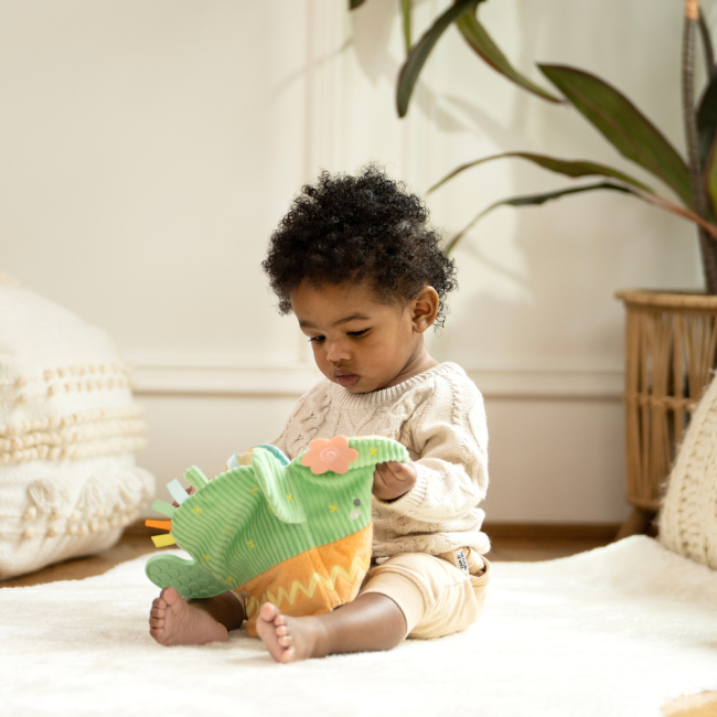 Развивающие игрушки - Развивающая игрушка Ingenuity Calm Springs (13045)#4