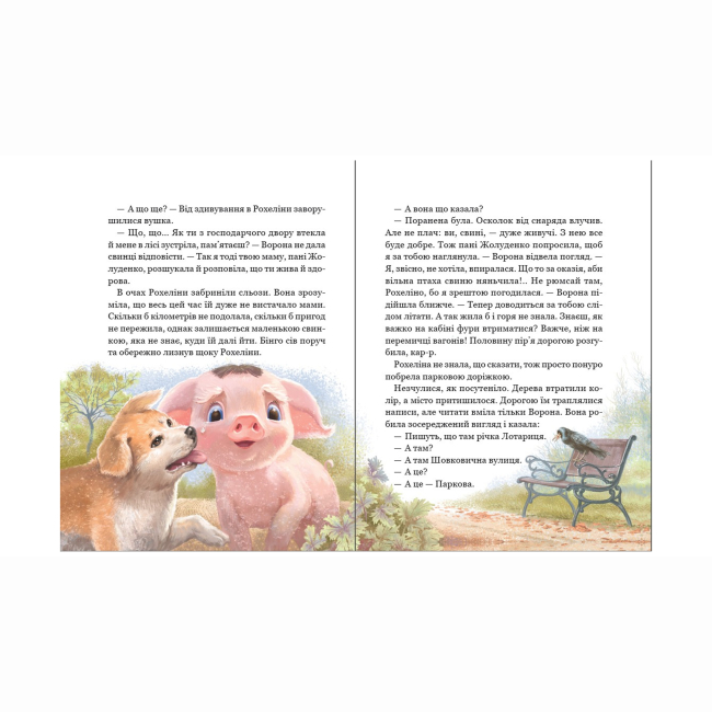 Художня література для дітей (7-13 років) - Книжка «Рохеліна Жолуденко та Бінго» Олена Скуловатова (9789664298831)#8