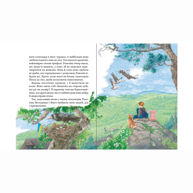 Художня література для дітей (7-13 років) - ​Книжка «Рохеліна Жолуденко та Бінго» Олена Скуловатова (9789664298831)#9