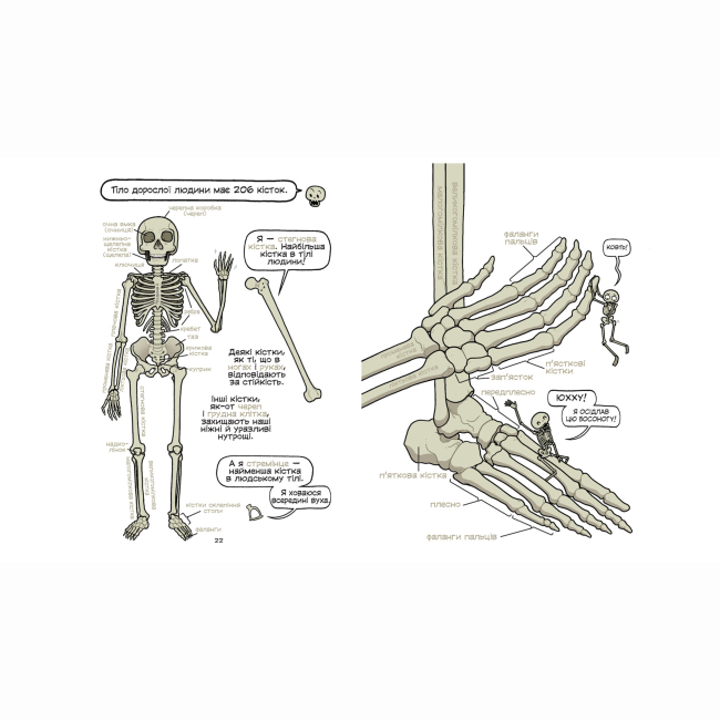 Комиксы, манга и книги о героях (7+ лет) - Книжка «Театр людського тіла: комікс» (9789664299449)#6