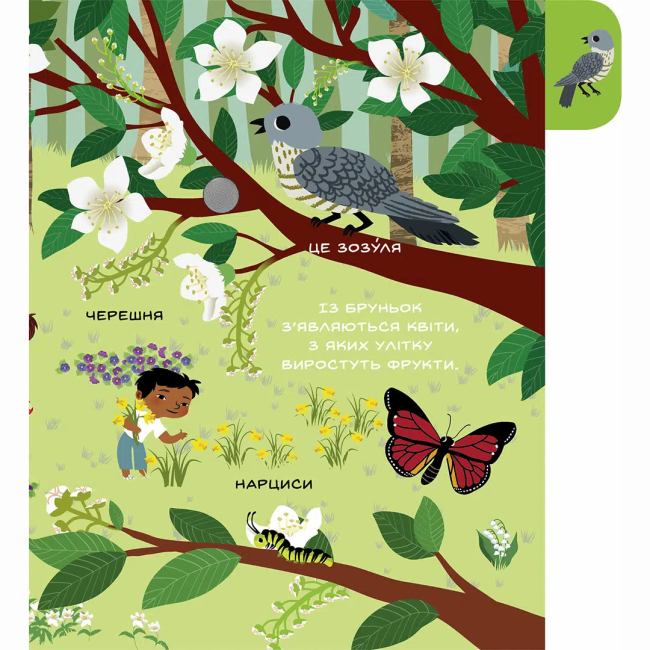 Книги для найменших (0-3 років) - ​​Книжка «Моя перша звуконаука. Ліс» (9786178516581)#2