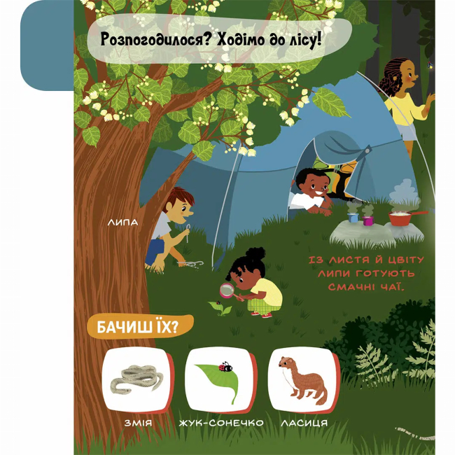 Книги для найменших (0-3 років) - ​​Книжка «Моя перша звуконаука. Ліс» (9786178516581)#3