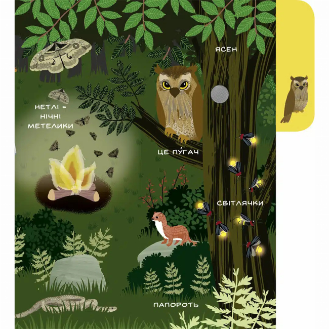 Книги для найменших (0-3 років) - ​​Книжка «Моя перша звуконаука. Ліс» (9786178516581)#4