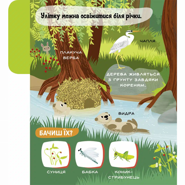 Книги для найменших (0-3 років) - ​​Книжка «Моя перша звуконаука. Ліс» (9786178516581)#5